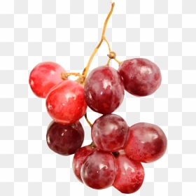 Red Wine Grape Fruit - Transparent Red Grapes Png, Png Download - grapes png images