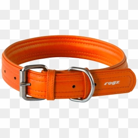 Rogi Dog Collar Orange Belt Pictures - Dog Collar Png Orange, Transparent Png - dog belt png