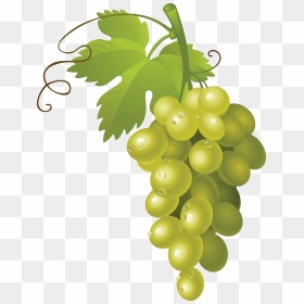 Green Grapes - Transparent Background Grapes Clip Art, HD Png Download - grapes png images