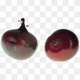 Download For Free Onion Png In High Resolution - Onion, Transparent Png - onion.png
