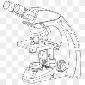 Drawing Compound Microscope - Pencil Compound Microscope Drawing, HD Png Download - microscope png images