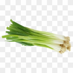 Green Onion Png, Transparent Png - onion png images