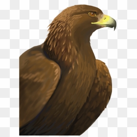 Hd Golden Eagle Png - Golden Eagle Png Clipart, Transparent Png - eagle png hd