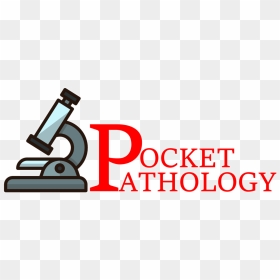 Pocket Pathology - Berkshire Hathaway Home Service Utah, HD Png Download - microscope png images