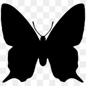 Butterfly Insect Animal Shape - Butterfly Silhouette, HD Png Download - png images butterflies