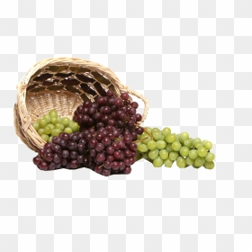 Grapes Png Royalty-free Image - Grape Seed Extract เมล็ด องุ่น แดง, Transparent Png - grapes png images