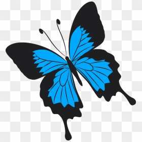 Butterfly Clipart - Kansas Flag Redesign, HD Png Download - png images butterflies
