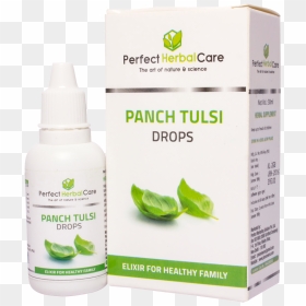 Picture - Perfect Herbal Care, HD Png Download - tulsi tree png