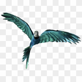 Vijay Mahar Parrot Png, Transparent Png - green parrot png