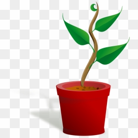 Clip Art Church Growth Free - Getting To Know Plants, HD Png Download - plants.png