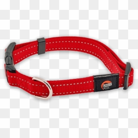 Belt, HD Png Download - dog belt png