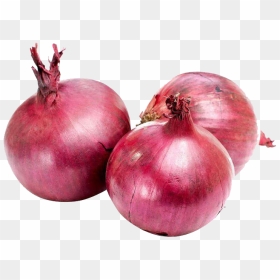 Onion Png Photo - Big Onion, Transparent Png - onion.png
