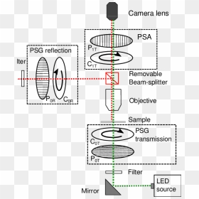 Diagram, HD Png Download - microscope png images