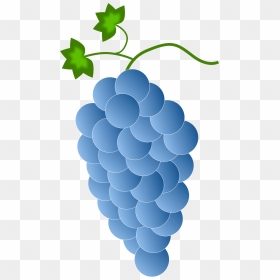 Blue Grapes Clip Arts - Blue Grapes Clipart, HD Png Download - grapes png images