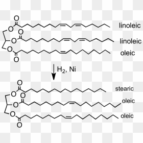 File - H2formargerin - Hydrogenated Vegetable Oil Reaction, HD Png Download - best quotes png