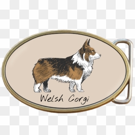 Shetland Sheepdog, HD Png Download - dog belt png