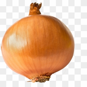 Onion Free Transparent Images, HD Png Download - onion png images