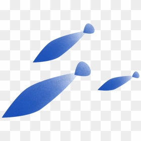 Fish Design - Fin, HD Png Download - fish group png