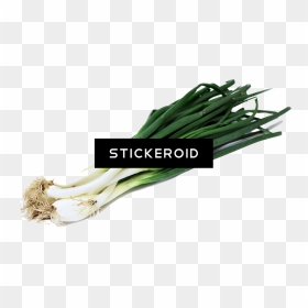 Green Onion Png - Green Onion Transparent Background, Png Download - onion.png