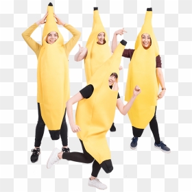 Bunch Of Banana Costume, HD Png Download - banana bunch png