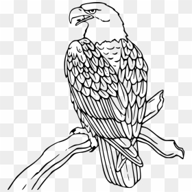 Love Wood Clipart Eagle - Eagle Clip Art, HD Png Download - eagle sitting png