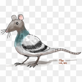 Flying Rats, HD Png Download - pigeons flying png