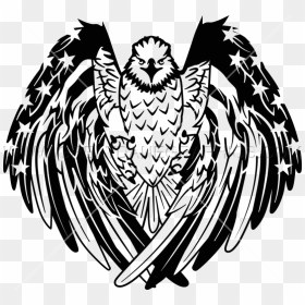Bald Eagle Png - Black And White Eagle Drawing, Transparent Png - eagle png hd