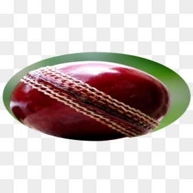 Cricket Ball Pop Socket, HD Png Download - cricket ball fire png