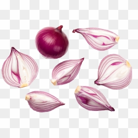 Onion Top View Png, Transparent Png - onion.png
