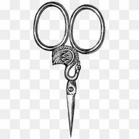 Scissors Sewing Clip Art Digital - Circle, HD Png Download - scissor clip art png