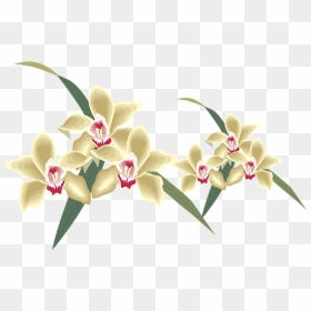 Elegant Flower Shop Logo, HD Png Download - nature clipart png