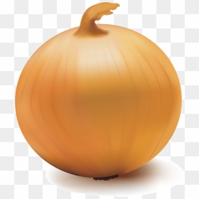Pumpkin Calabaza Onion Vegetable - Transparent Background Clipart Onion, HD Png Download - onion png images
