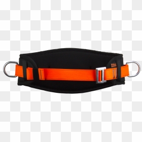 Strap, HD Png Download - dog belt png