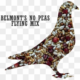 Belmont"s No Peas Flying Pigeon Mix"  Title="belmont"s - Mix Peas For Pigeons, HD Png Download - pigeons flying png