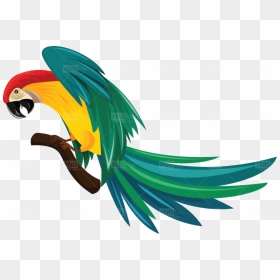 Illustration, HD Png Download - green parrot png