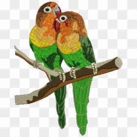 Lovebird, HD Png Download - green parrot png