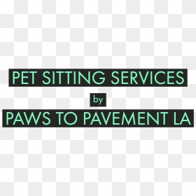 Pet Sitting Services, Rates And Pricing, Hours, Package - Esc Rennes School Of Business, HD Png Download - eagle sitting png