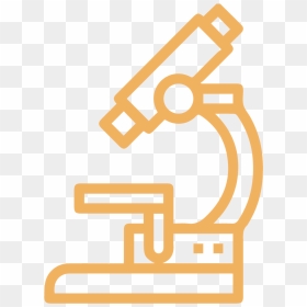 Null - Icon Microscope, HD Png Download - gulmohar tree png