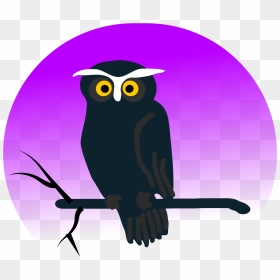 Cute Halloween Owl Clipart, HD Png Download - eagle sitting png