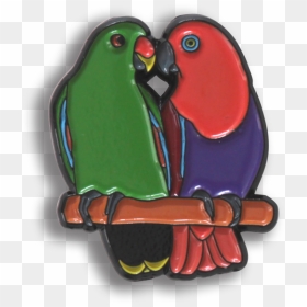 Parakeet, HD Png Download - green parrot png