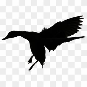Flying Duck Png Black And White - Duck Flying Silhouette, Transparent Png - white duck png