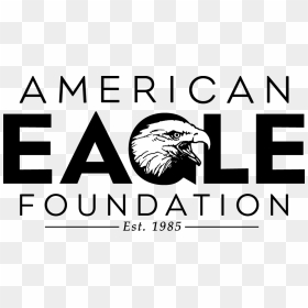 Aef Logo - American Eagle Foundation, HD Png Download - eagle sitting png