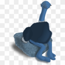 Ostrich Sitting On A Stone - Common Ostrich, HD Png Download - eagle sitting png