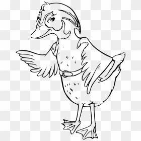 Clip Art, HD Png Download - white duck png