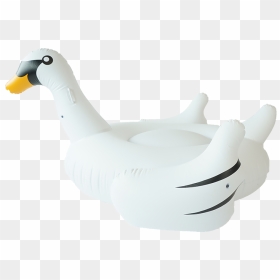 Sunfloats Inflatable White Swan Pool Floats - Duck, HD Png Download - white duck png