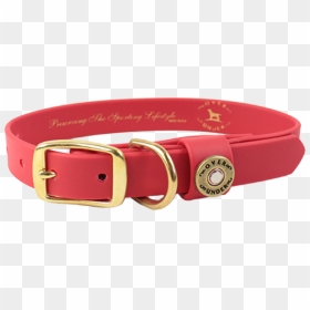 Water Dog Collar Red - Buckle, HD Png Download - dog belt png