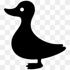 Duck, HD Png Download - white duck png