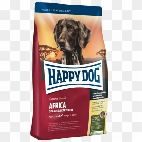 Happy Dog Food Africa, Hd Png Download, Transparent Png - dog png hd