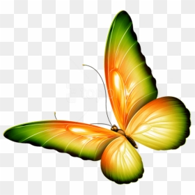 Free Png Download Yellow And Green Transparent Butterfly - Orange And Green Butterfly, Png Download - yellow green background png