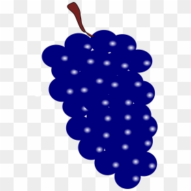 Purple Grapes Clip Arts - Druif Tekening Zonder Achtergrond, HD Png Download - grapes png images